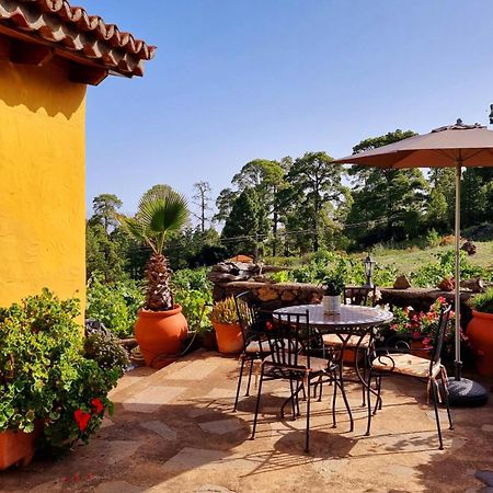 Villa Federico Puntagorda Esterno foto