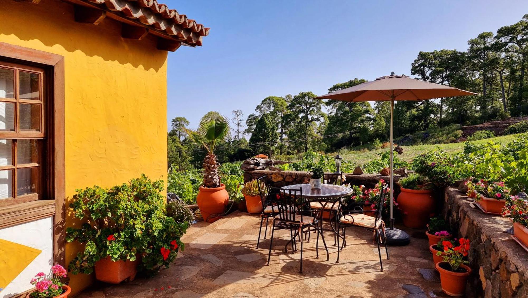 Villa Federico Puntagorda Esterno foto