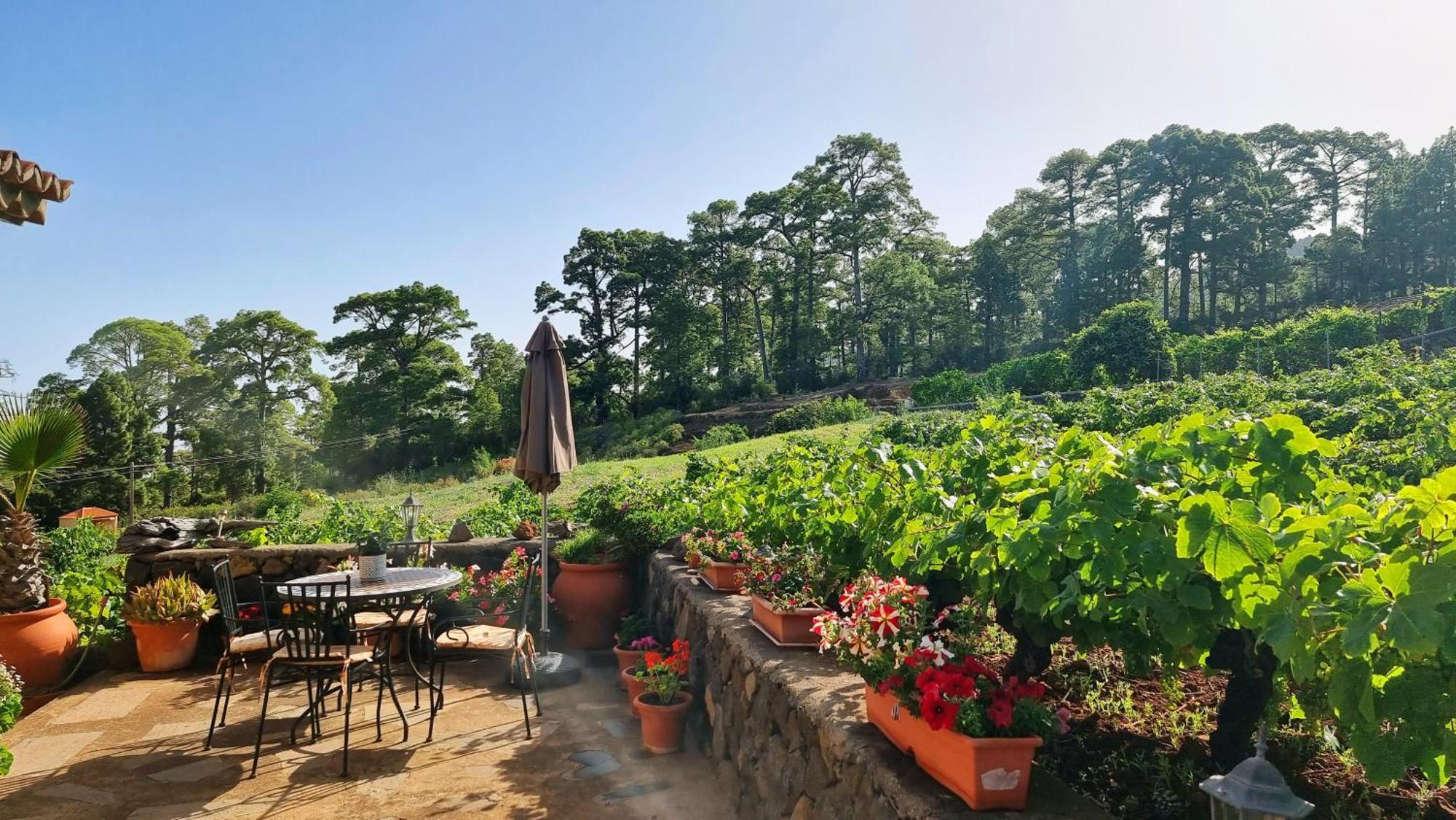 Villa Federico Puntagorda Esterno foto