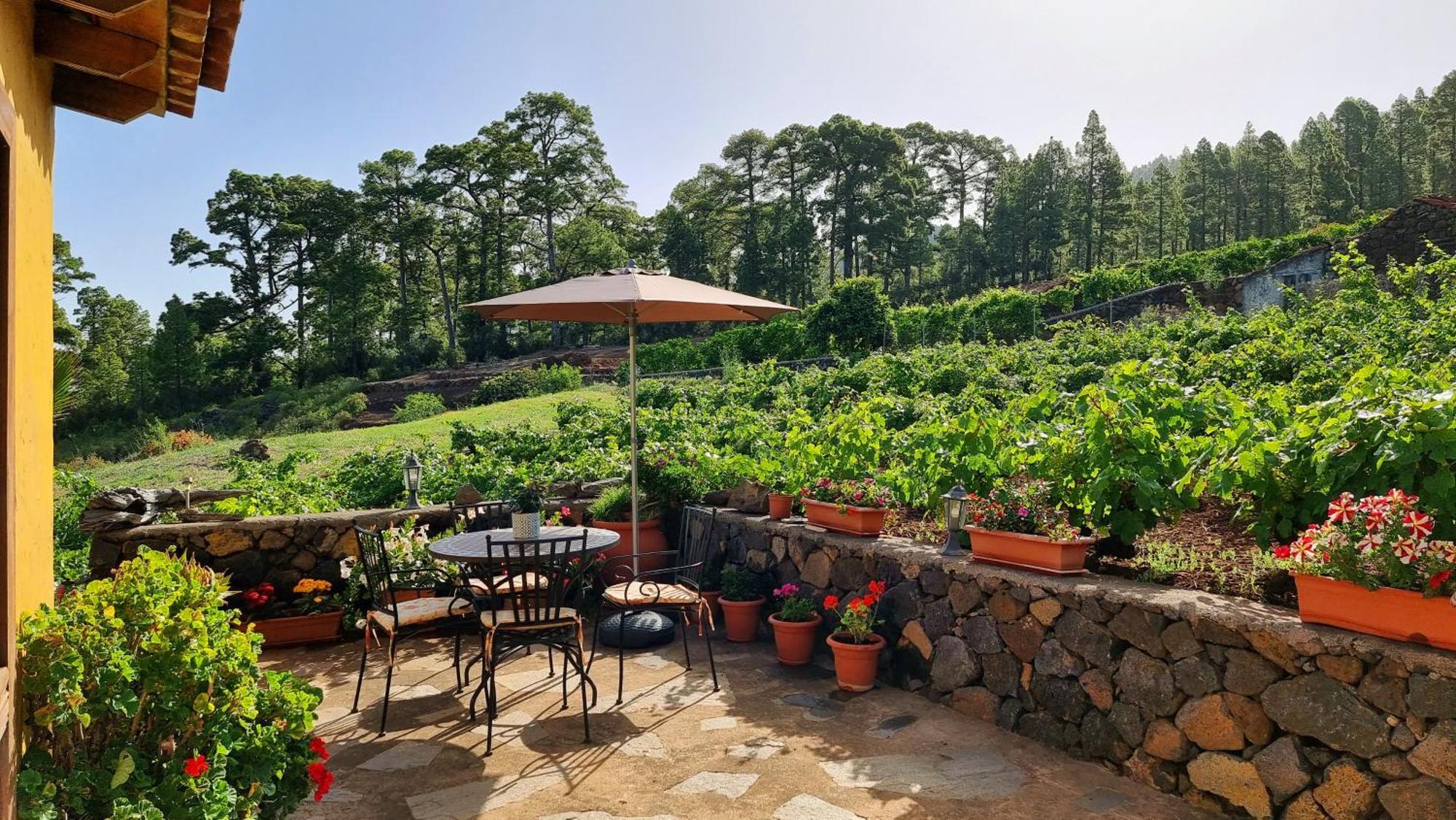 Villa Federico Puntagorda Esterno foto