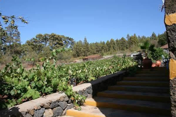 Villa Federico Puntagorda Esterno foto